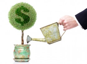 Bem-vindos ao nosso site web - A Pimentinha